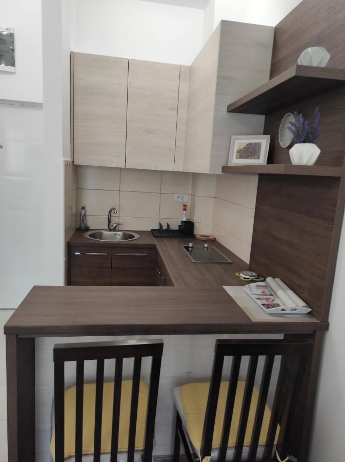 Studio Apartman Dani Banja Koviljača Zewnętrze zdjęcie