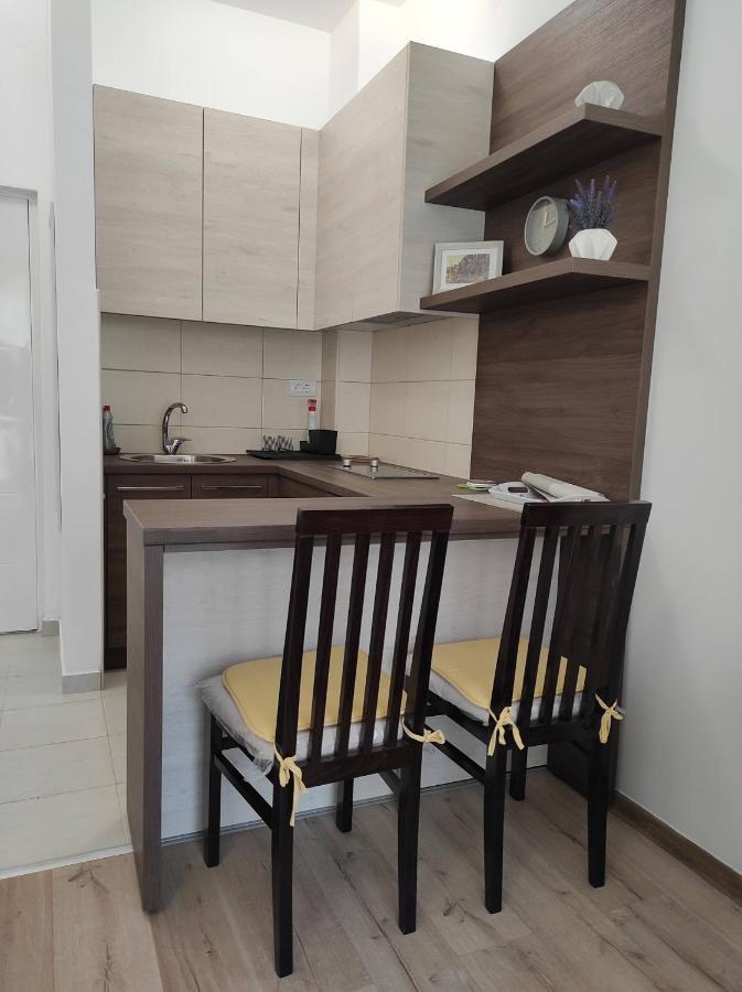 Studio Apartman Dani Banja Koviljača Zewnętrze zdjęcie